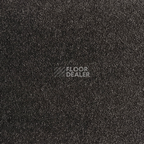 Ковролин  Graphit фото 1 | FLOORDEALER